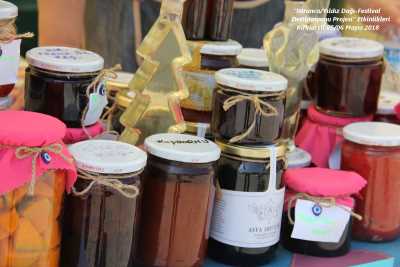 Festival Projesi (05-06 Mayıs 2018 Kırklareli Faaliyetleri)